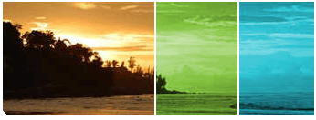 Nature Theme Contact Photograph